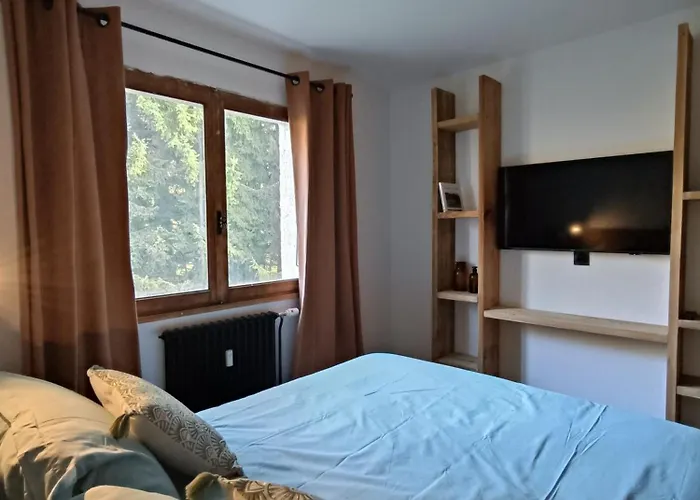 Le D'arbois - Au Pied Appartement